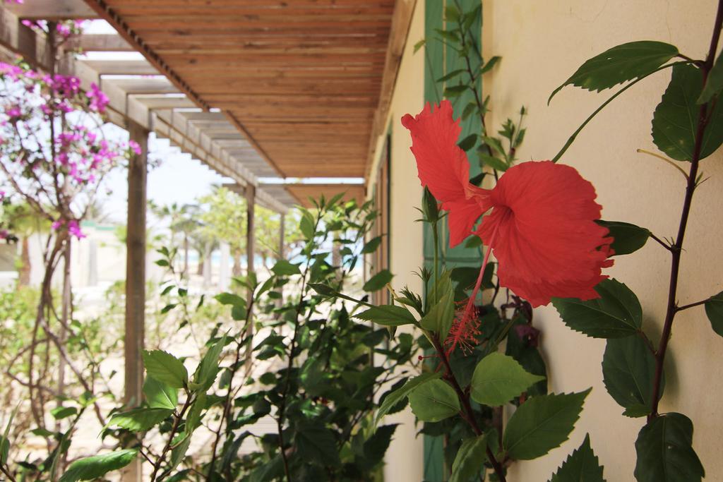 Vilas Praia Chaves Rabil Exterior foto