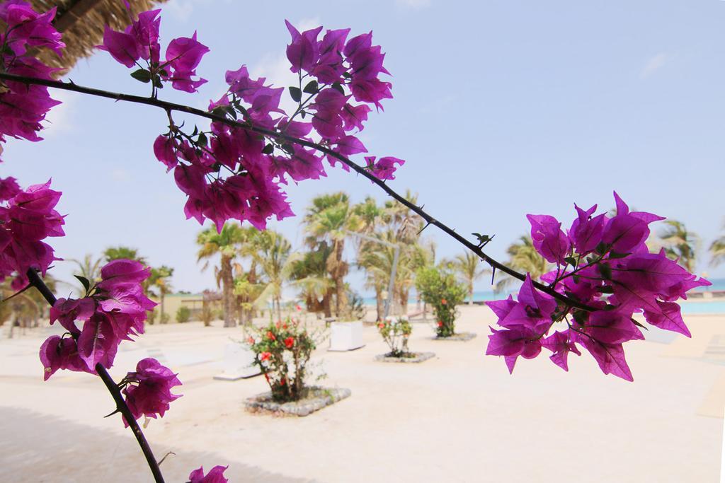 Vilas Praia Chaves Rabil Exterior foto